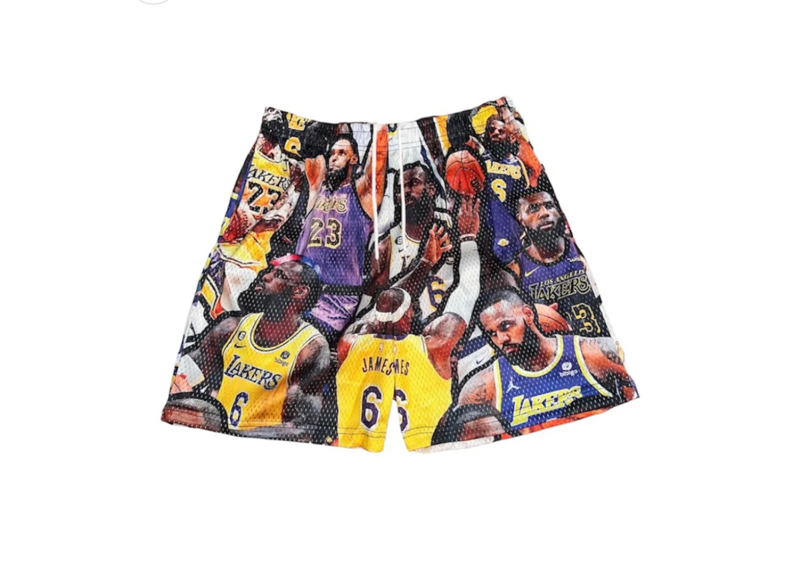 Lebron mesh shorts