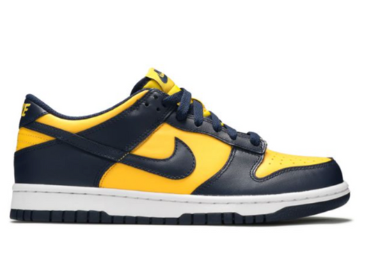 Nike Dunk Michigan