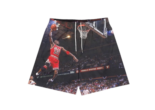 Flight Mesh Shorts